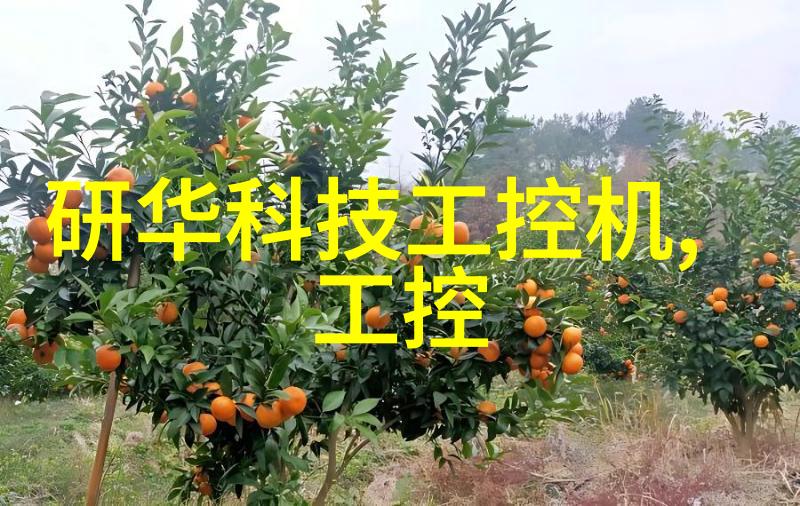 2002年年度总结大会召开